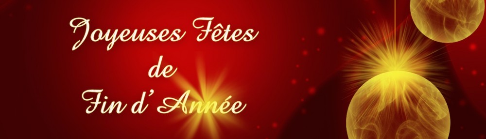 Joyeuses fêtes de fin d’année Akj Institut d�Aïkido Joyeuses fêtes de fin d’année Akj Institut d�Aïkido