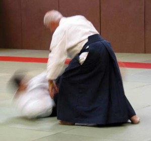 03.Aikido.Qui.Seniors